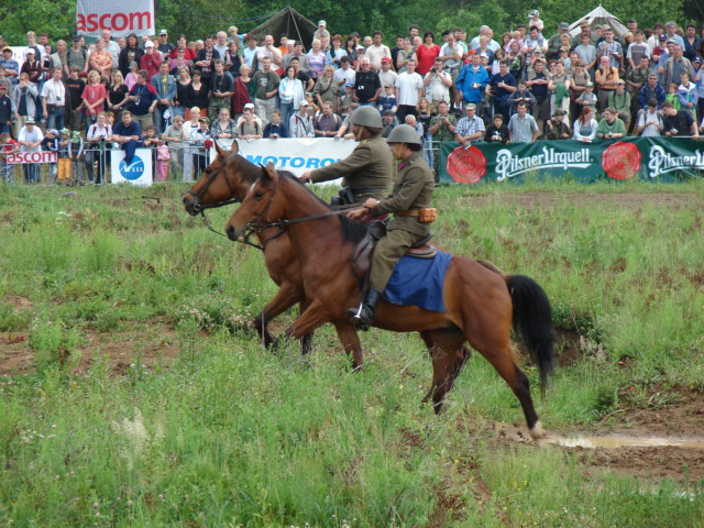DSC00747.jpg