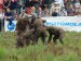 DSC00751.jpg