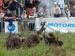 DSC00755.jpg