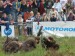 DSC00757.jpg